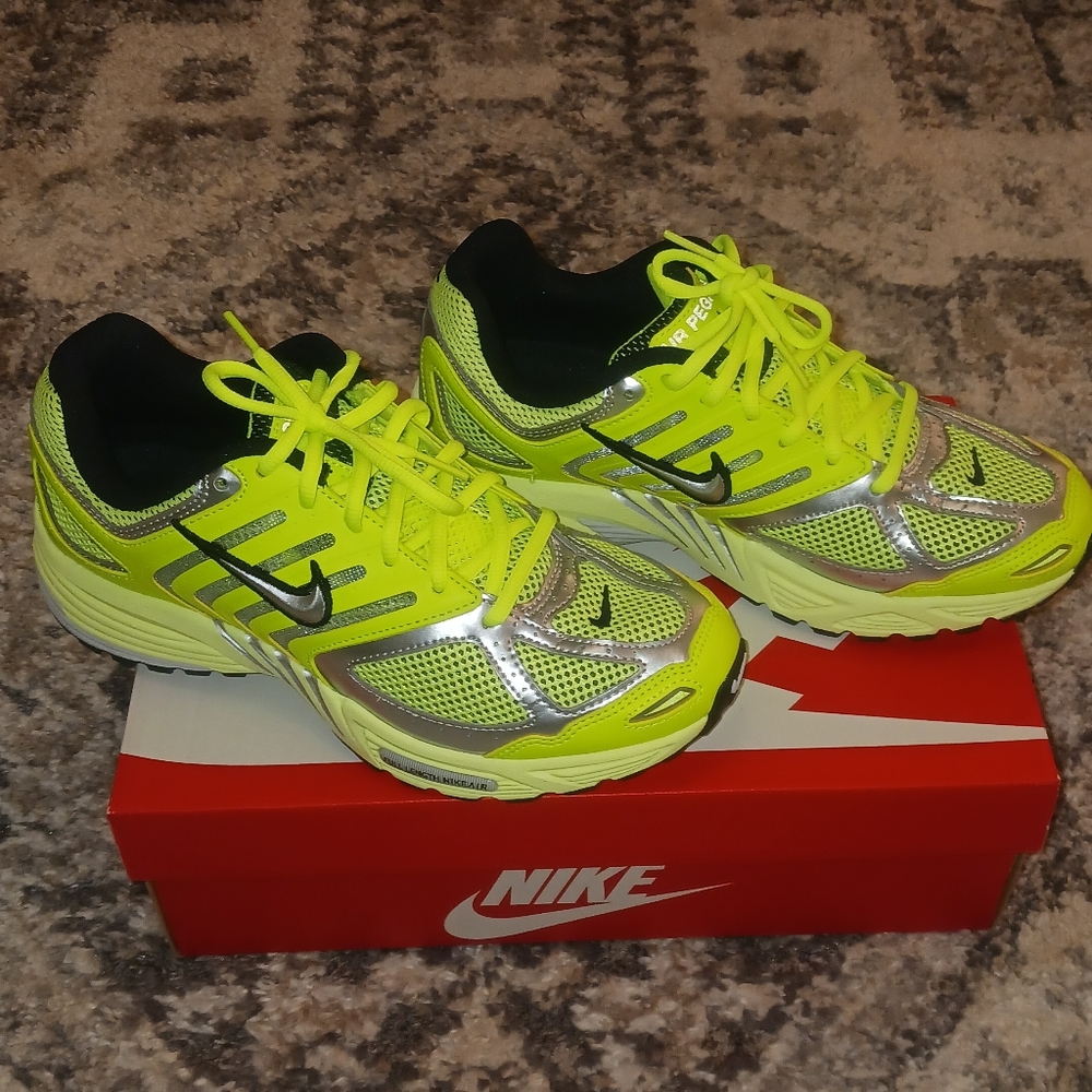 Nike Air Pegasus 2005